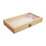 Mikinona Caja de Exhibición y Diseño de Madera Acrílica Tapa Transparente para Especímenes Vintage Caja para Coleccionar y Decorar Escritorio Protección contra Polvo