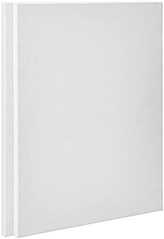 Homestrap Primed Cotton Pre Stretched Canvas with Wooden Frame (White ...