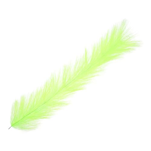 HOODANCOS zpsK|cY ьpɐBی쑐 ϋvKтɋ_炩lH