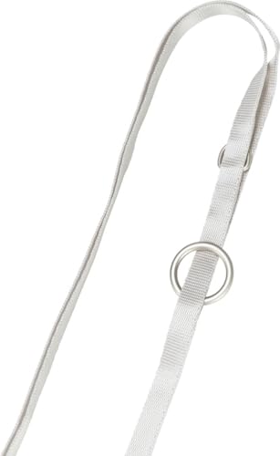 TRIXIE Junior Welpen-Softgeschirr mit Leine Größe S–M: Brustumfang 26–34 cm/10 mm in hellgrau - gepolstertes anpassbares Hundegeschirr mit 3fach verstellbarer Leine für kleine Hunde, 15560