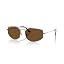 Gunmetal/Brown Polarized