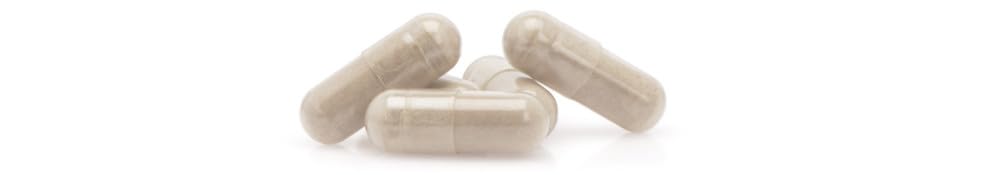 CHITOSAN PACK 3+1 GRATUIT 300 mg / 800 gélules | Digestion, Poids | Fabriqué en France