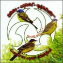 Chants De Haute-Bretagne