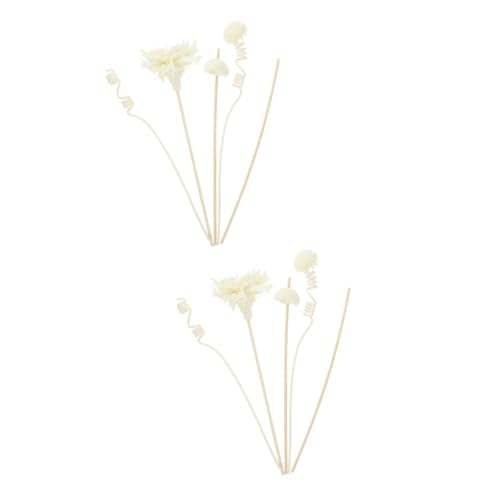 Gatuida 2 Juegos Accesorios De Aromaterapia Perfumado Difusores para El Hogar Recarga Automática De Spray Difusor De Aroma Barra De Aceite Fragancia Difusor De Aceite Flores Secas