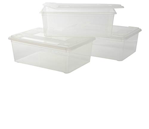Group plastic boxes to store shoes 3 pieces
