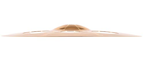 Meinl Cymbals 14” Trash Crash With Holes – Hcs Traditional Finish Bronze For Drum Set, Made In Germany, 2-Year Warranty, (Hcsb14Trc) #TOP4