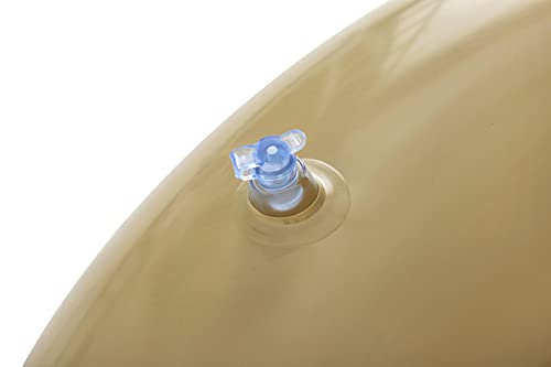 H2Ogo! Sweet Donut Swim Ring Float 36" #TOP4