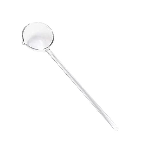 Duiaynke Mestolo da portata in vetro soffiato a bocca lunga, 25,2 cm, elegante cucchiaio da portata per sugo, salse e condimenti per insalata (trasparente)