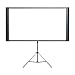 Epson Duet 80-Inch Dual Aspect Ratio Projection Screen