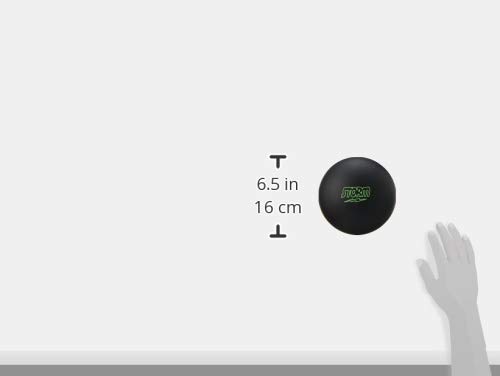 Amazon.com : Storm Pitch Black Bowling Ball, 12-Pound : Sports