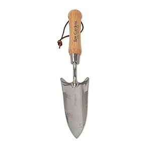 Spear & Jackson Kew Gardens 3020KEW roestvrij staal transplanteren troffel, blauw
