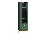 DIMENSIONS : vitrine élégante avec des dimensions de 55 x 40 x 190 cm, parfaite pour présenter vos objets de collection.