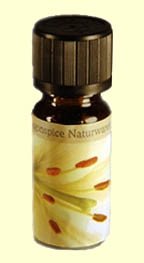 Lavendelöl extra fein BIO, 100ml von Dragonspice Naturwaren, 100ml