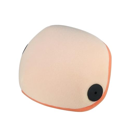 Filtre pour FS450 et Heritage : finis les passages de poussière avec le A46006015000