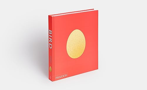 Bird: Exploring the Winged World