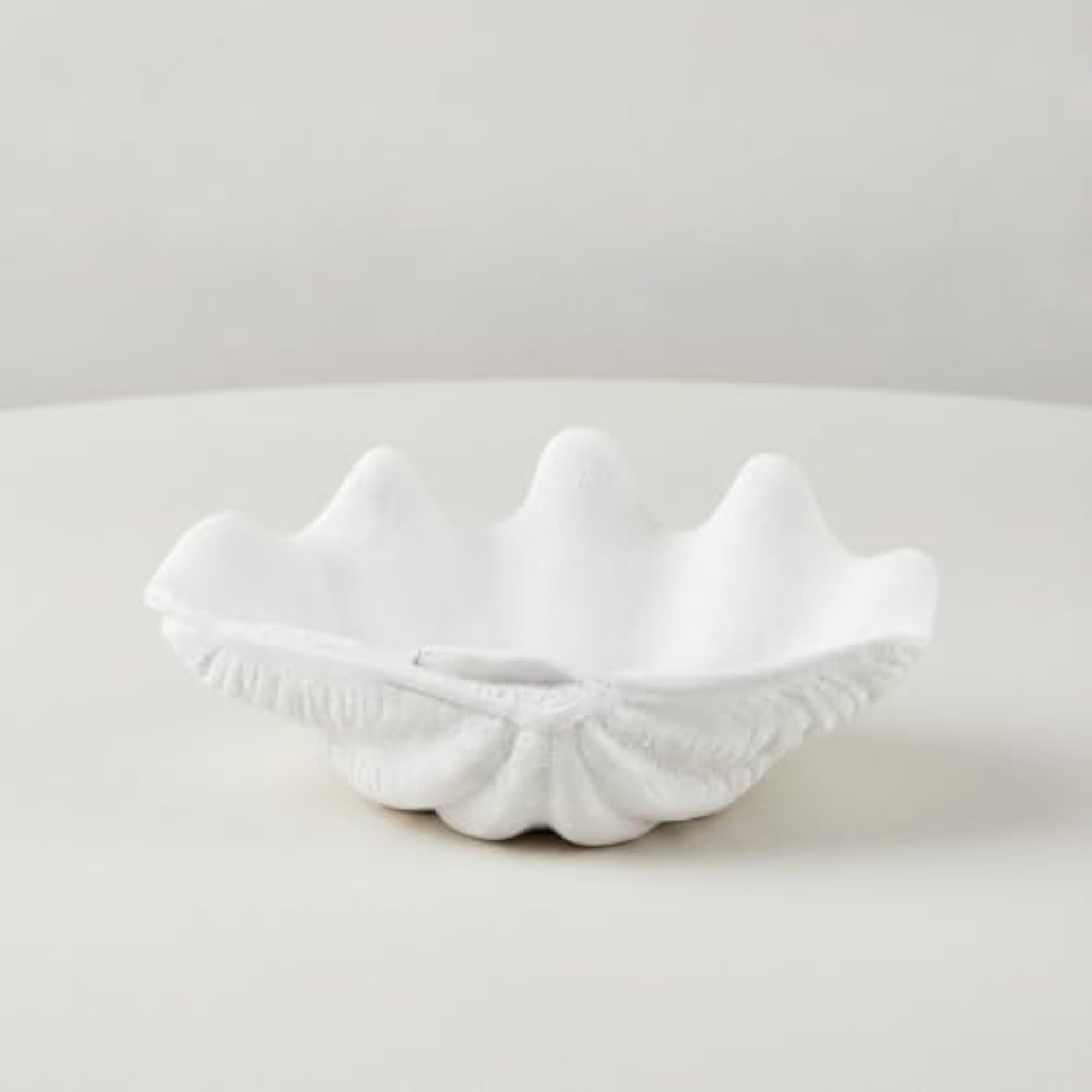 Modern Shell-Shaped Decorative Tray, Textured Design