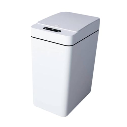 Llazsybz XfUC\ZT[tJݔ ƒp, 