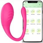 Wireless Remote-Control Vibrator Set with 9 Modes