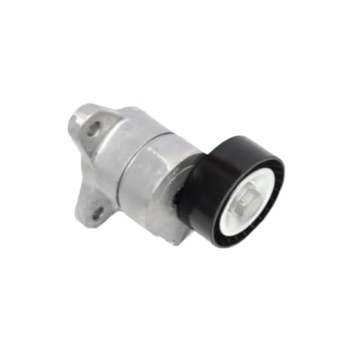 Kit poulie tendeur de courroie 4891595AE pour Compass et Journey