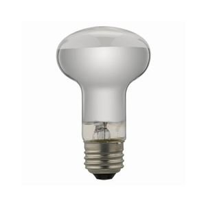 (�܂Ƃ�)YAZAWA ���t�`���M�����v RF100V90W�y×10�Z�b�g�z