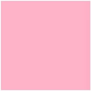 Lee Filters Middle Rose 24x21 Gel Filter Sheet