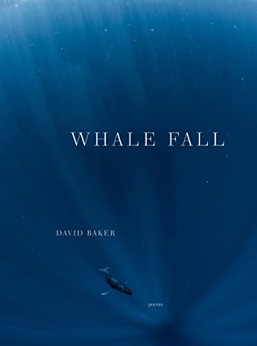 Whale Fall view 2