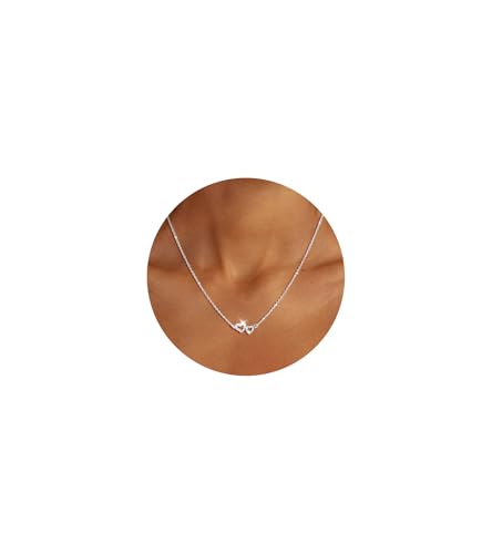vidonio Herz Anhänger Kette Silber 925 Damen, Halskette Damen mit Doppel Herz Design, Verstellbares Kette 44cm+5cm, Elegant Sterling Silber Schmuck Geschenk für Frauen (Partner, Familie, Freunde) vidonio Herz Anhänger Kette Silber 925 Damen, Halskette Damen mit Doppel Herz Design, Verstellbares Kette 44cm+5cm, Elegant Sterling Silber Schmuck Geschenk für Frauen (Partner, Familie, Freunde)