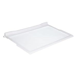 Glasplatte oben Whirlpool 481010643010 474x288mm mit Rahmen für Kühlschrank KühlGefrierKombination