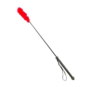 PETS TRIANGLE Interactive Cat Feather Teaser Wand Toy – 28 Inch Full Leather Stick with 5 Inch Soft Feather – Fun for Cats and Kittens (Black with red)