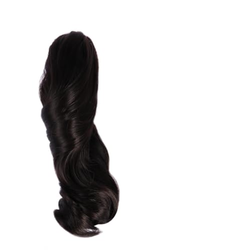 Baluue 1 Pc clip de peluca de de caballo postizo remodelable extensión de cabello extensión de cabello de caballo garra de de caballo extensión de de caballo