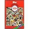 Paperback Cincinnati Reds Book
