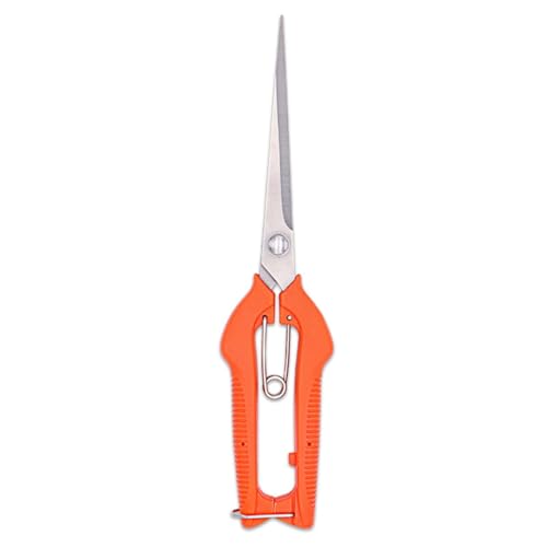 lԍHwɊÂz[́AIșƌ`̂߂̌yʂ̉Ԃ̃nT~