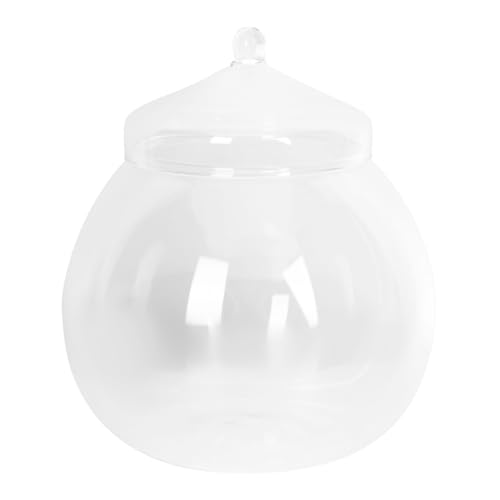 VICASKY Bouteille Verre pour Micro avec Couvercle Style Aléatoire Conteneur Écologique DIY pour Décoration Intérieure Flacon Vide Transparent pour Plantes et Mosses