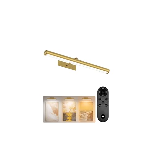 EZVALO 16in Gold Picture Light