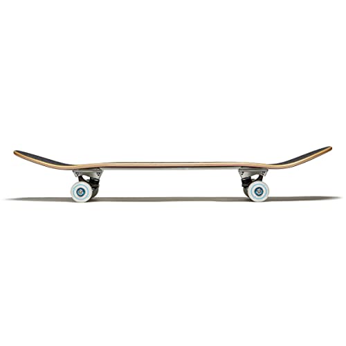 [CCS] Globe Skateboard Complete Black 8.00" - Thumbnail 6