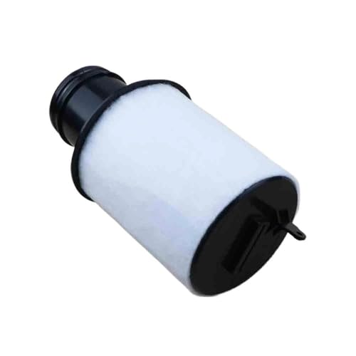 Filtre à air de voiture pièce 420133844D pour moteur sport V8 V10