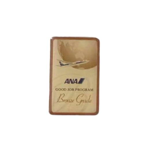 ANA S{A GOOD JOB PROGRAM sobW