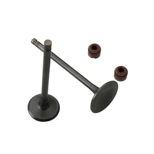 CEESuEB Juego de 2 válvulas de admisión y Escape compatibles con Motores Super8 125 Visar125i CK125 de 125 CC y 4 Tiempos (14711-KUDU-900 y 14721-KUDU-900)