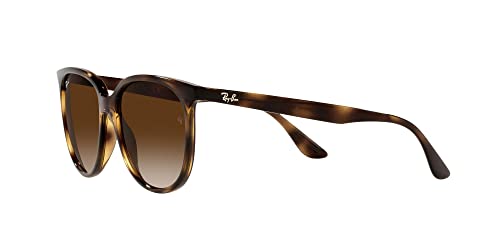 Ray-Ban Women's Rb4378 Square Sunglasses3