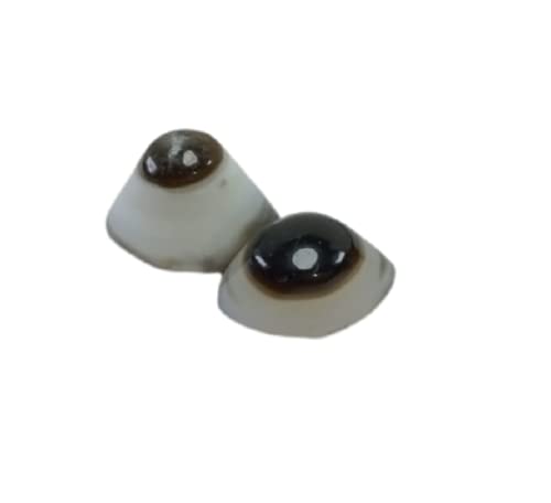Bague Shiva Eye en agate du troisième œil lot de 2 taille S