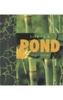 Hardcover Life in a Pond (Halfmann, Janet. Lifeviews.) Book