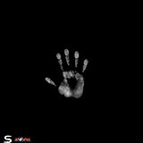 SHQ-1 Records