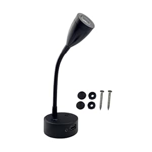 THINCAN 12-24V LED Schwanenhals Wandlampe mit USB