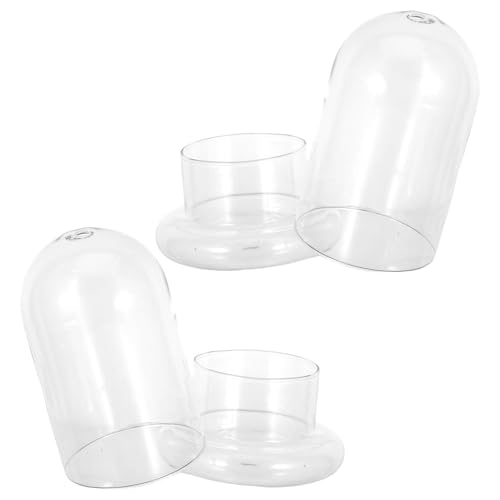 Botellas de vidrio de borosilicato COLLBATH para terrarios y micropaisajes con agujero de 8mm 2
