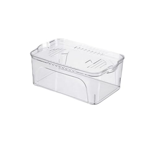 Refoya   vX`bN   Wt 傫 A͔| e  h Ȑ ƒp ȋ̐   pi 琬 CeA Sޗ Ϗ܋p (,M)