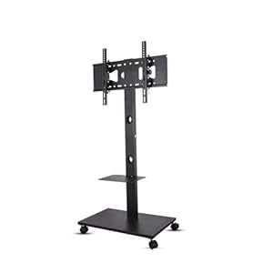 Drjbbodvq Neig- und höhenverstellbarer TV-Bodenständer