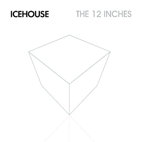 12 Inch Versions & Remixes, Vol. 1