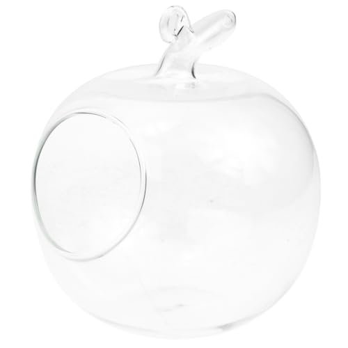 Amosfun Vase Hydroponique en Verre Forme De Pomme Bouteille Décorative Écologique pour Culture Indoor Micro Paysage Maison Bureau 4.72In