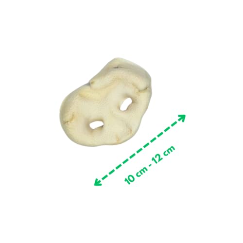 Premium Schweinenasen für Hunde – 100 % Natur, 100 % Kauspaß! Natur- Kauartikel für Groß & Klein, Kauartikel aus Schwein, Hundeleckerli