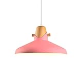 ◆ Large application : c'est une suspension parfaite pour le style japonais bohème nordique moderne et minimaliste. Convient pour une suspension de grange, une suspension de ferme pour îlot de cuisine, des suspensions noires mates, un plafonnier industriel, un luminaire de bar, une suspension de porche, etc.